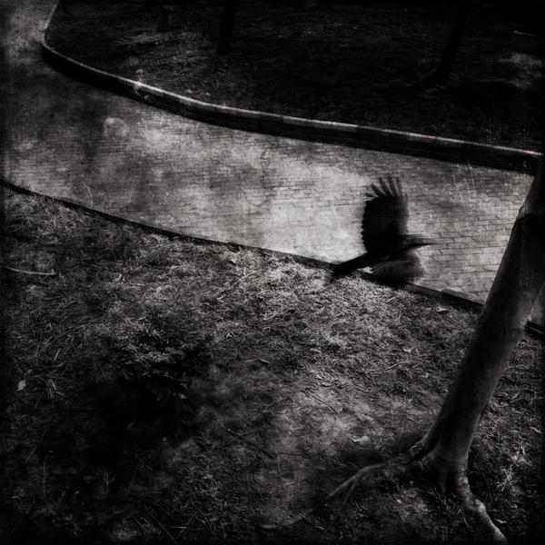 无限拨打手机号软件